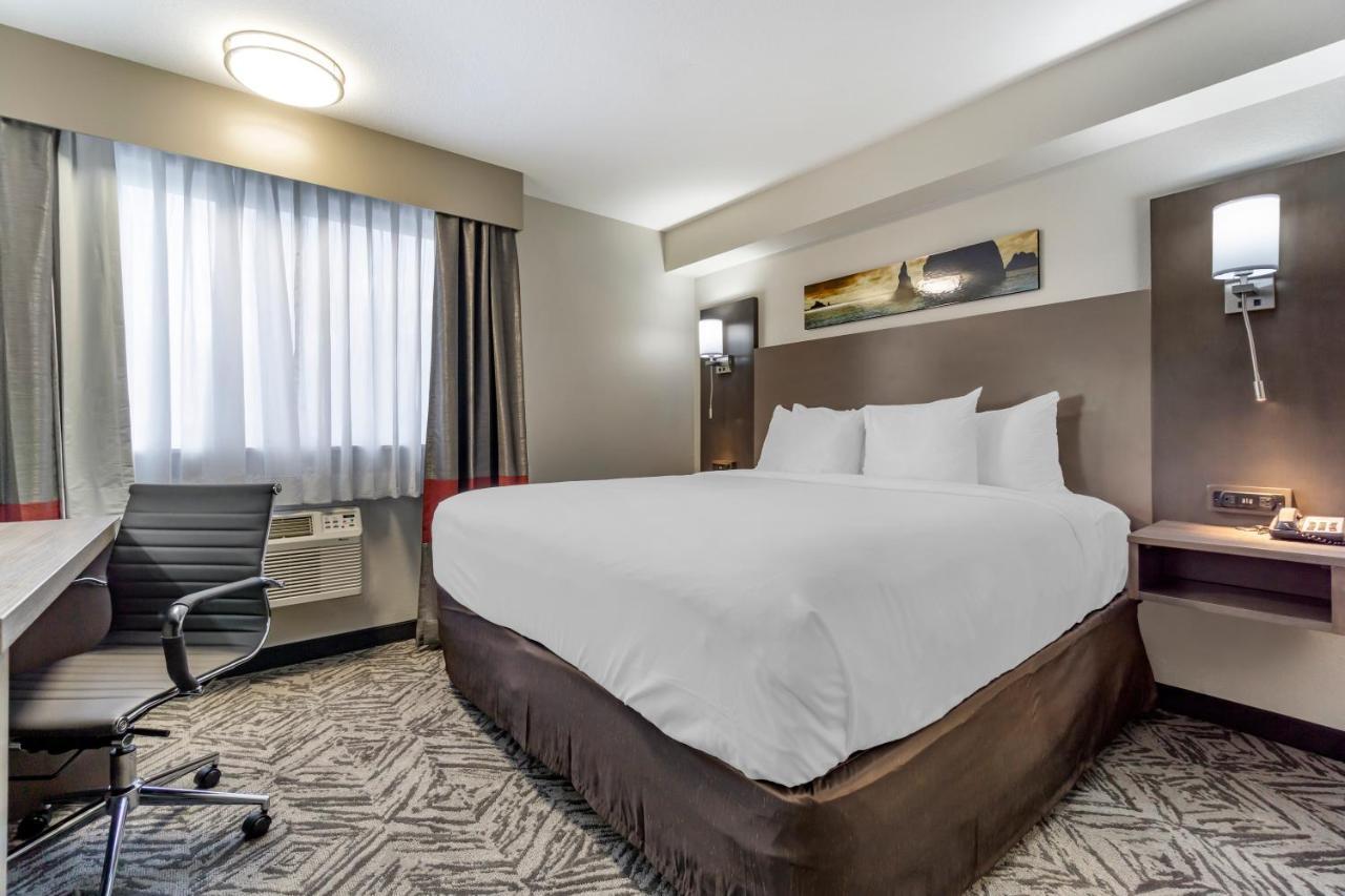 Comfort Inn & Suites Pacific - Auburn Bagian luar foto